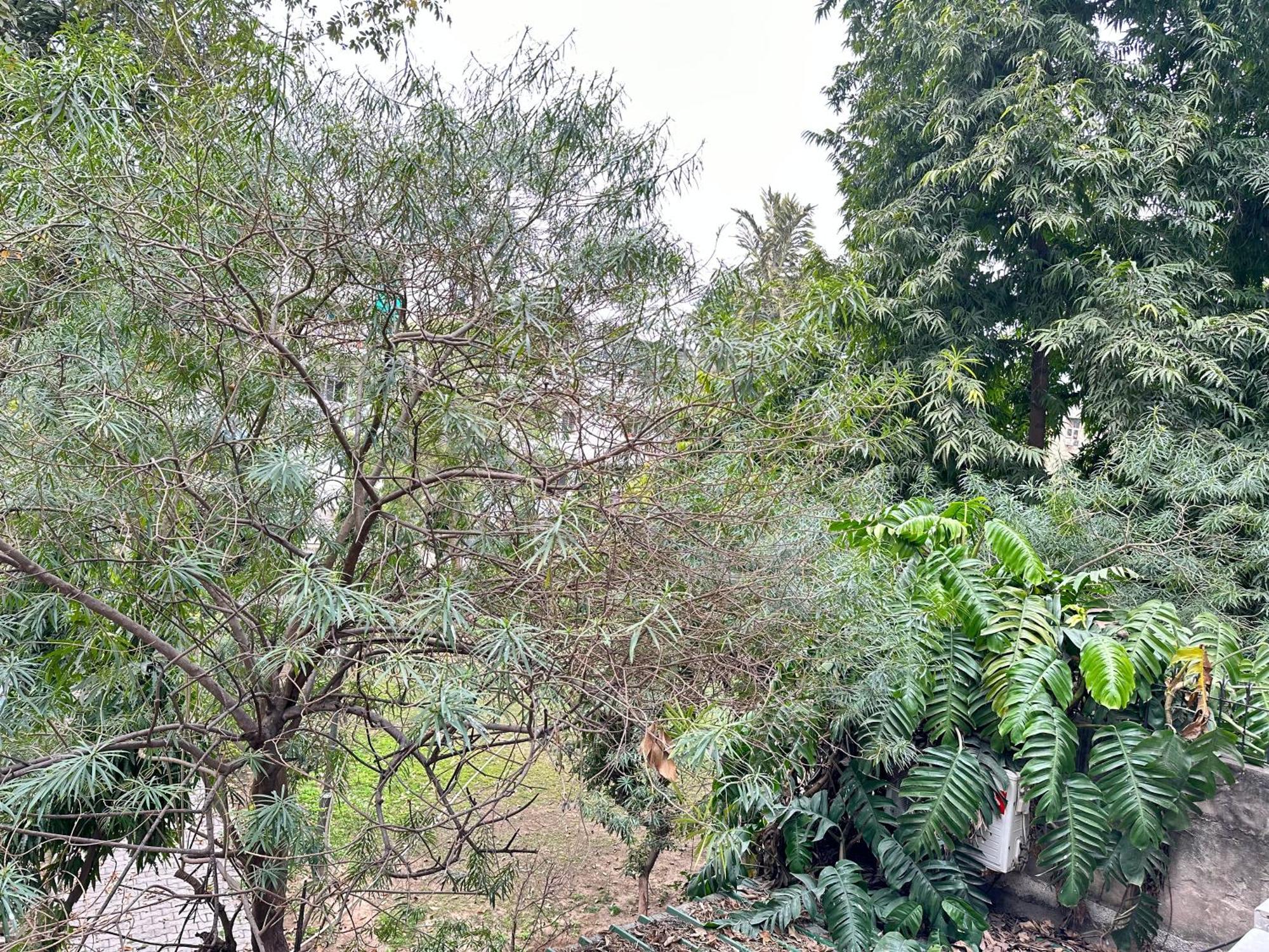 Grove Residency Hauz Khas New Delhi Couple Friendly Hotel Bagian luar foto